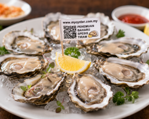 Oyster experience
